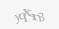 Защитный код
