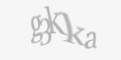Защитный код