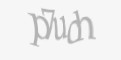 Защитный код