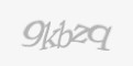 Защитный код