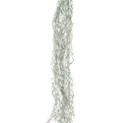 7lquqqluqidjecmm0ano894jpi20tpug