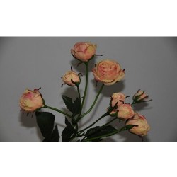 84xs0rejp2h6t7hw9tfemgh882d1cm78
