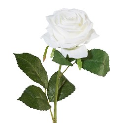c02xs5sjedmstv121qmjtsdbaqhg1dcg