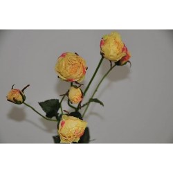 v3347l0f2tmt2qtdk097z85ysfick6wn